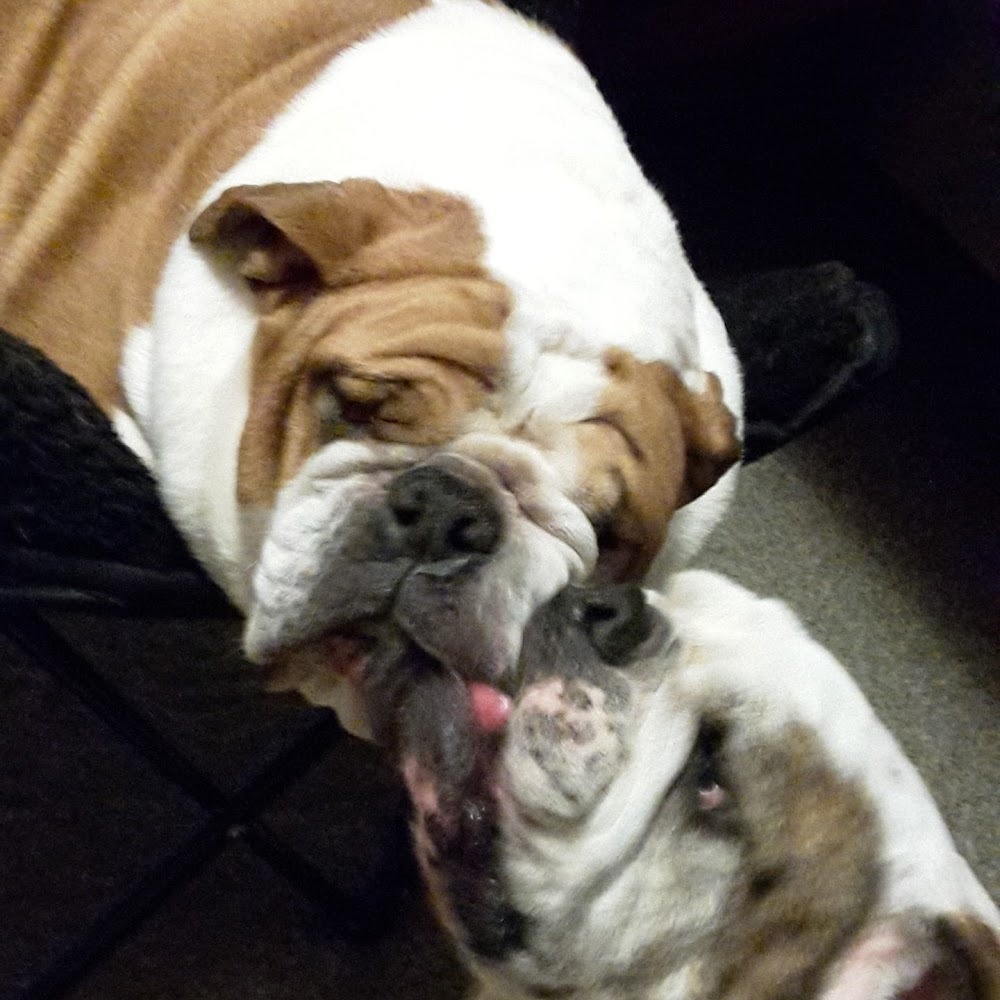 Meet your Posher, Brenda